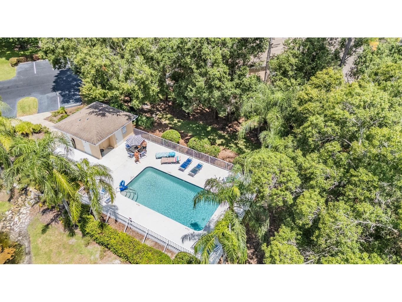 4504 Connery Court Palm Harbor FL 34685 TB8413265 image33