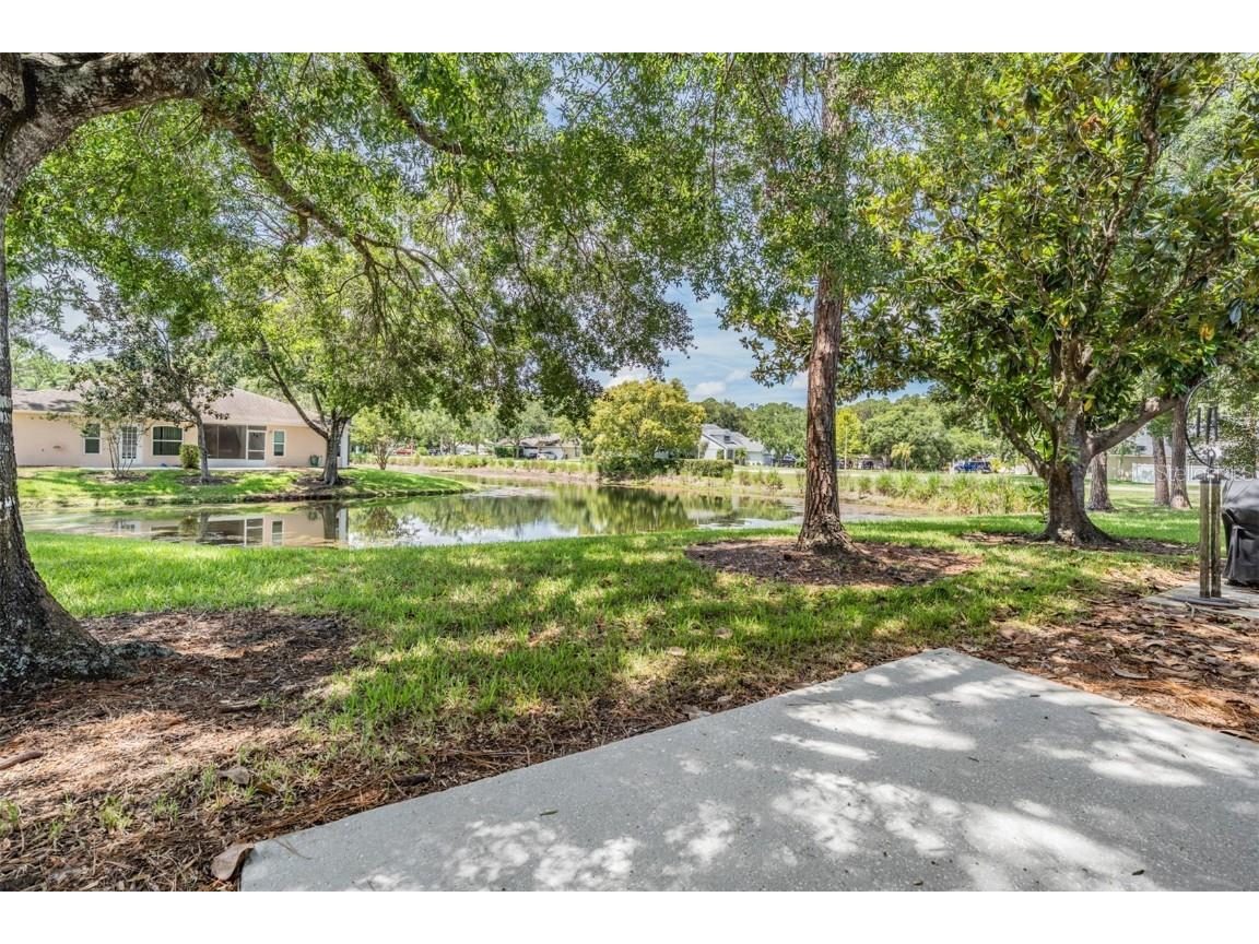 4504 Connery Court Palm Harbor FL 34685 TB8454696 image23