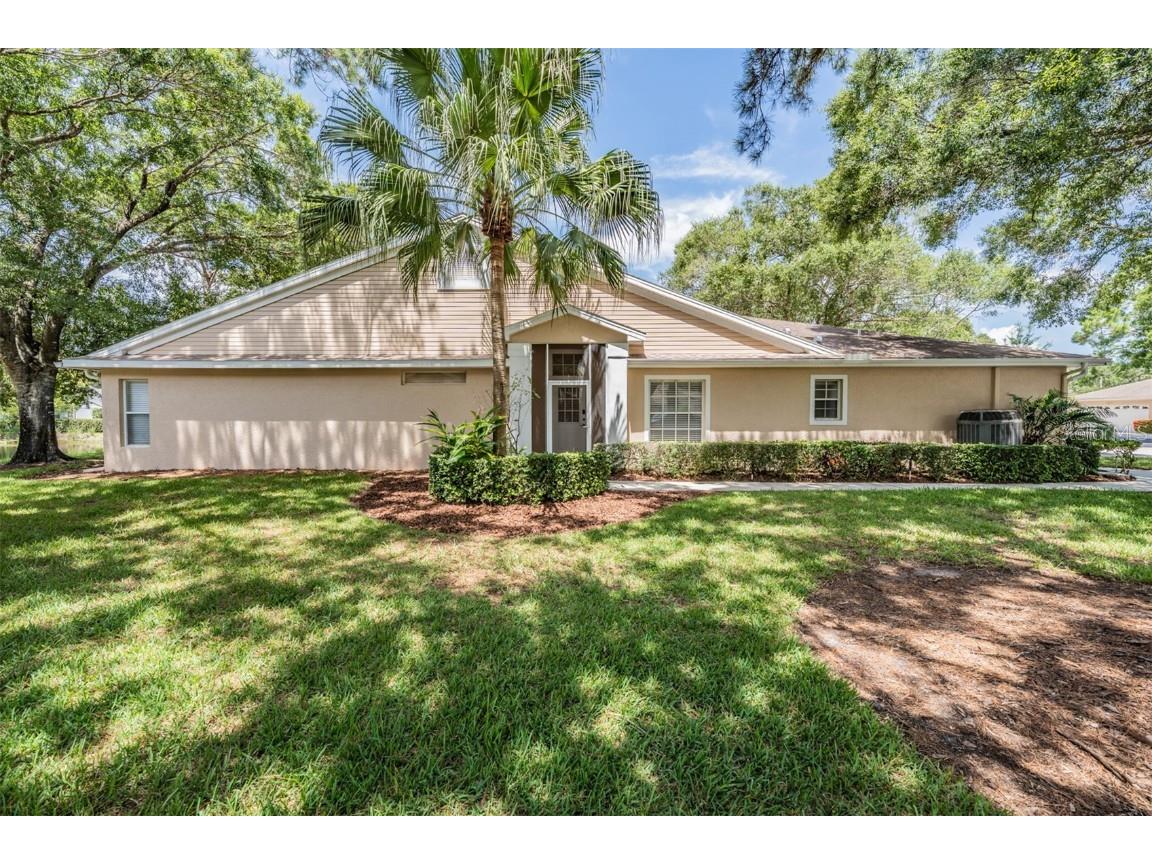 4504 Connery Court Palm Harbor FL 34685 TB8454696 image26