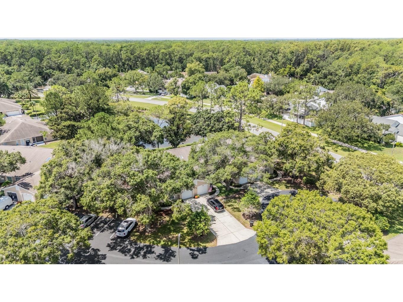 4504 Connery Court Palm Harbor FL 34685 TB8454696 image29