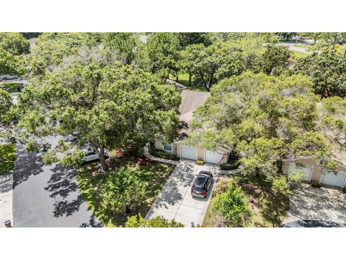 4504 Connery Court Palm Harbor FL 34685 TB8454696 image30