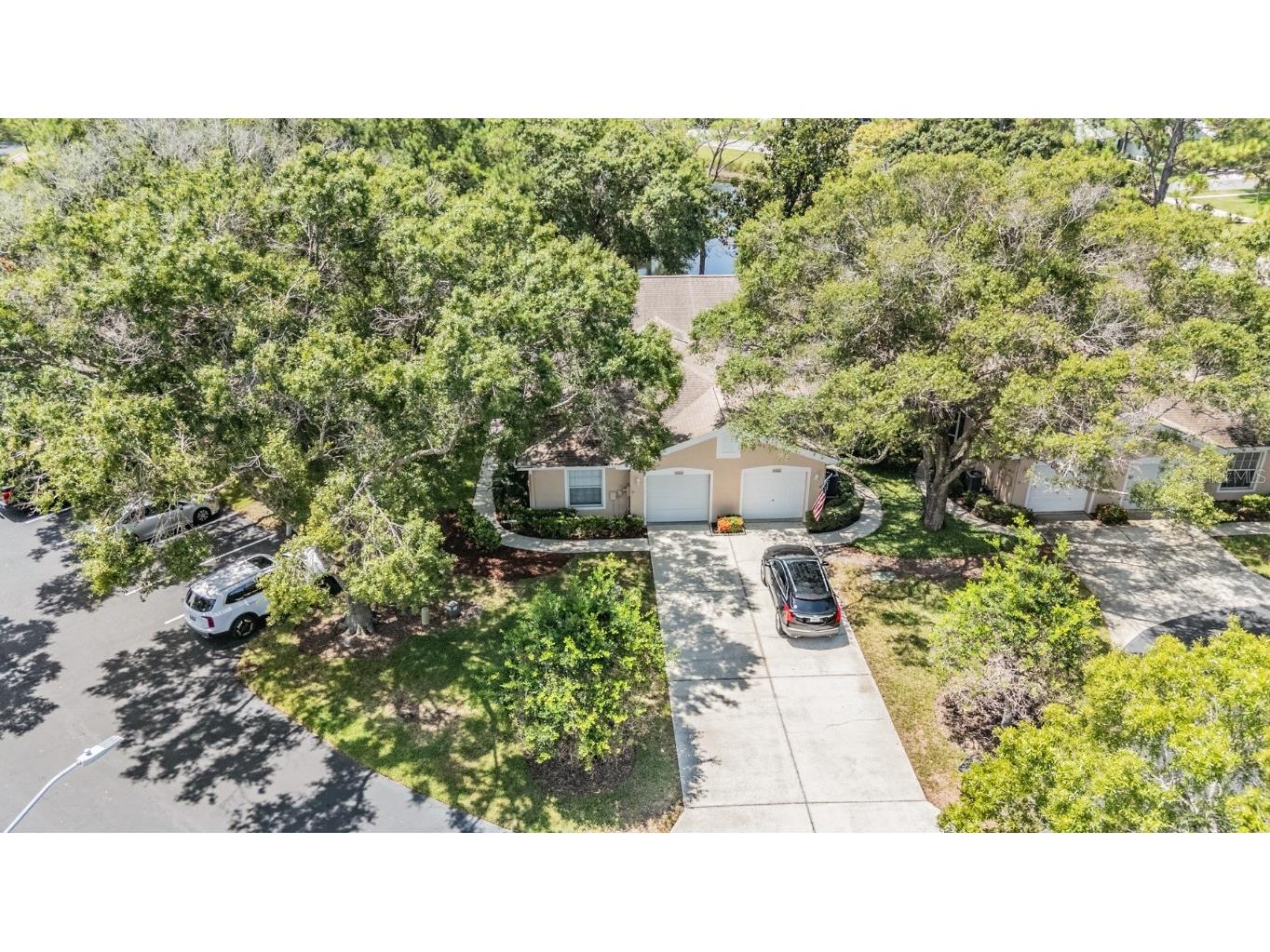 4504 Connery Court Palm Harbor FL 34685 TB8454696 image31