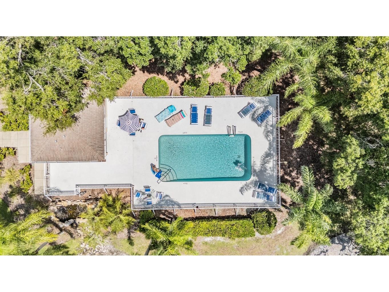 4504 Connery Court Palm Harbor FL 34685 TB8454696 image33