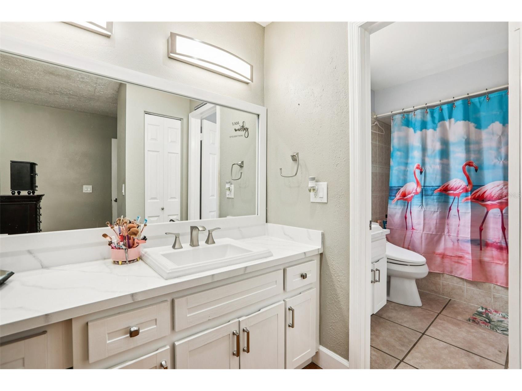 4504 Deer Park Place Brandon FL 33511 TB8481292 image27