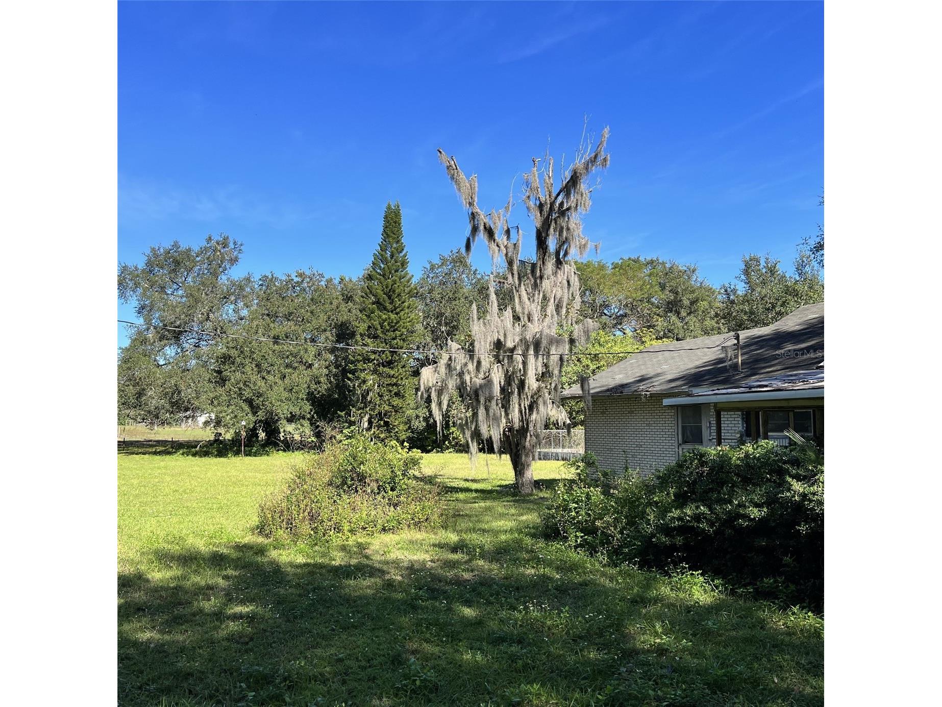 4504 E County Road 540a Lakeland FL 33813 P4935522 image2