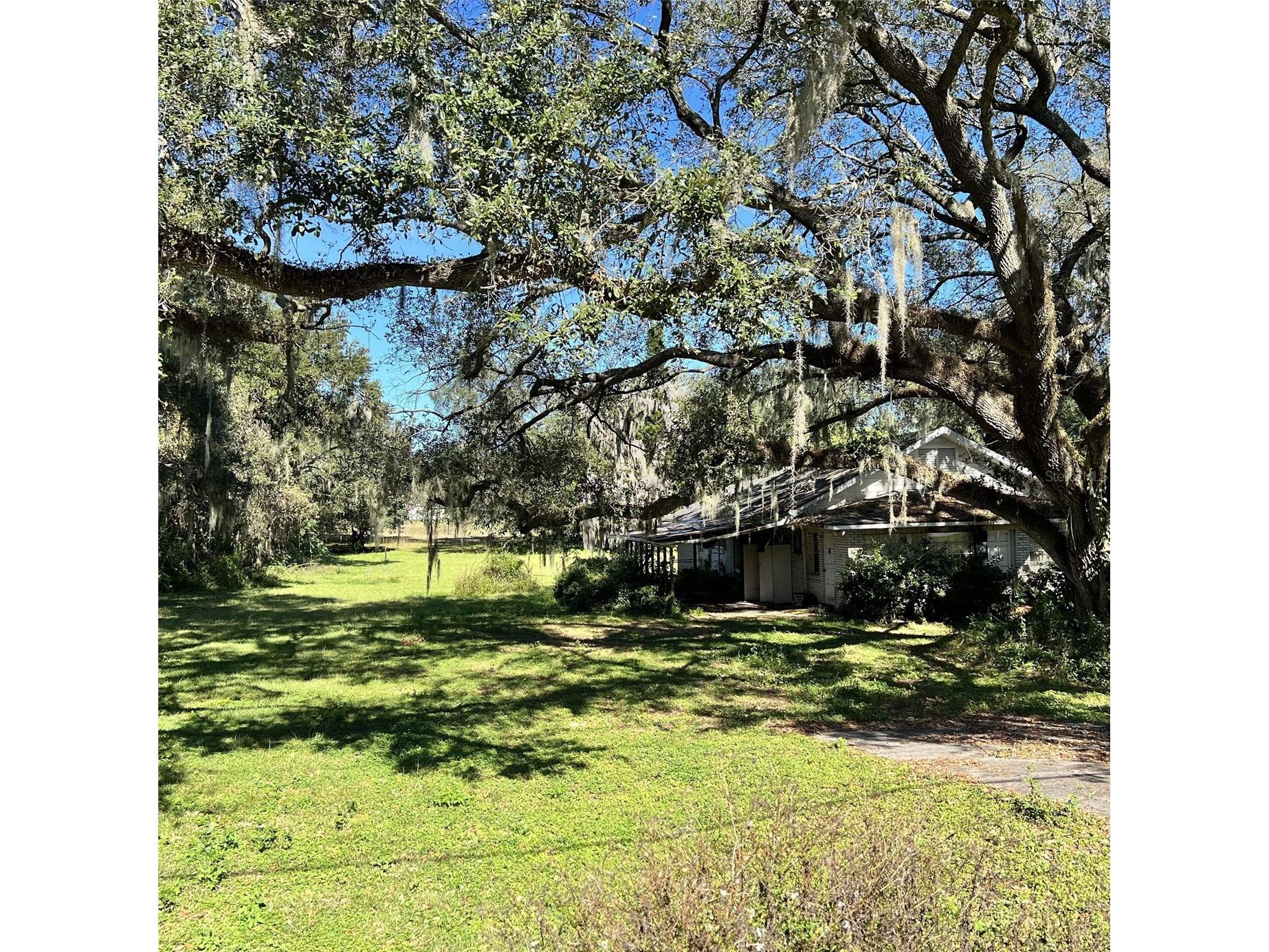 4504 E County Road 540a Lakeland FL 33813 P4935522 image5
