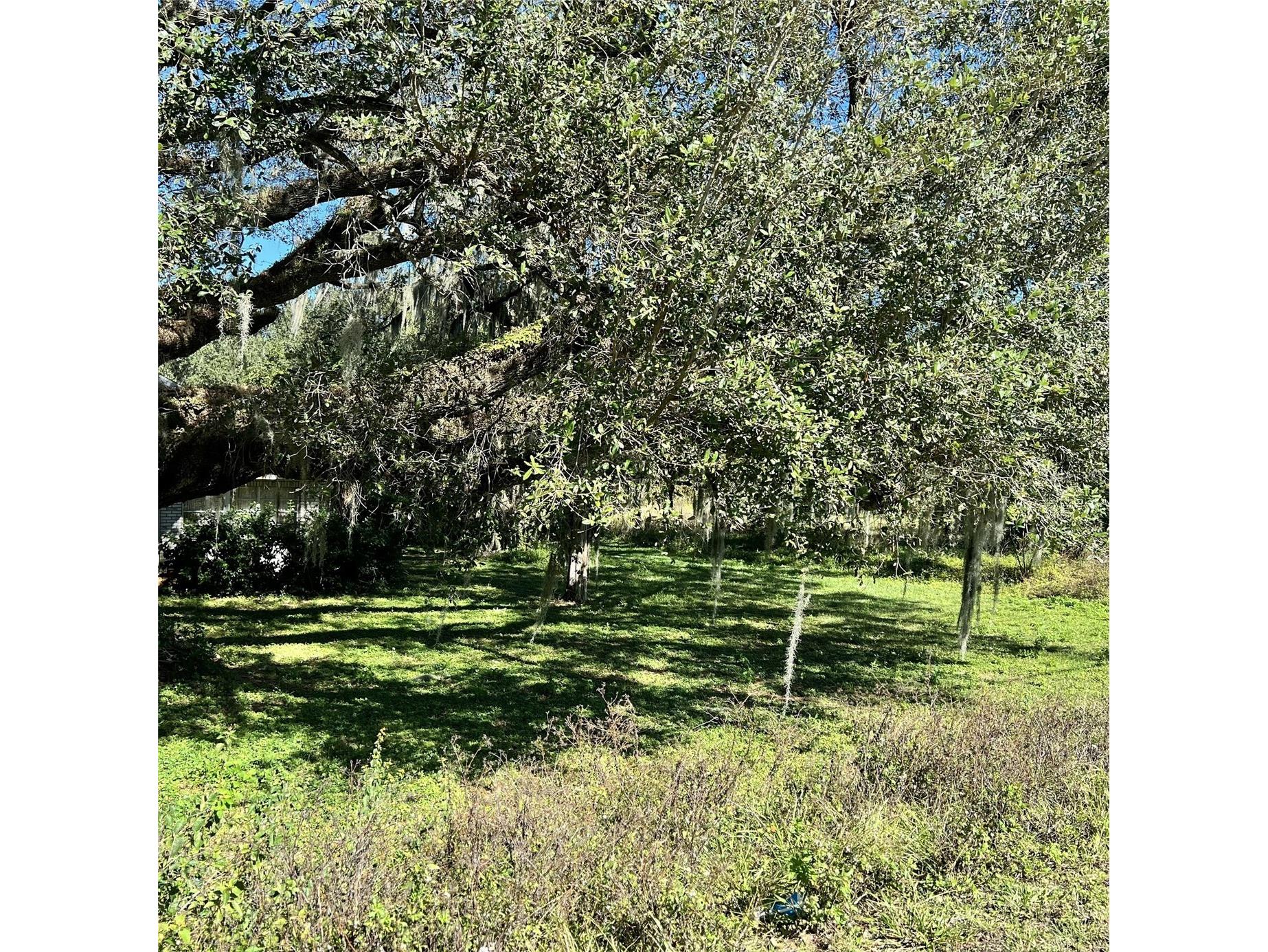 4504 E County Road 540a Lakeland FL 33813 P4935522 image6