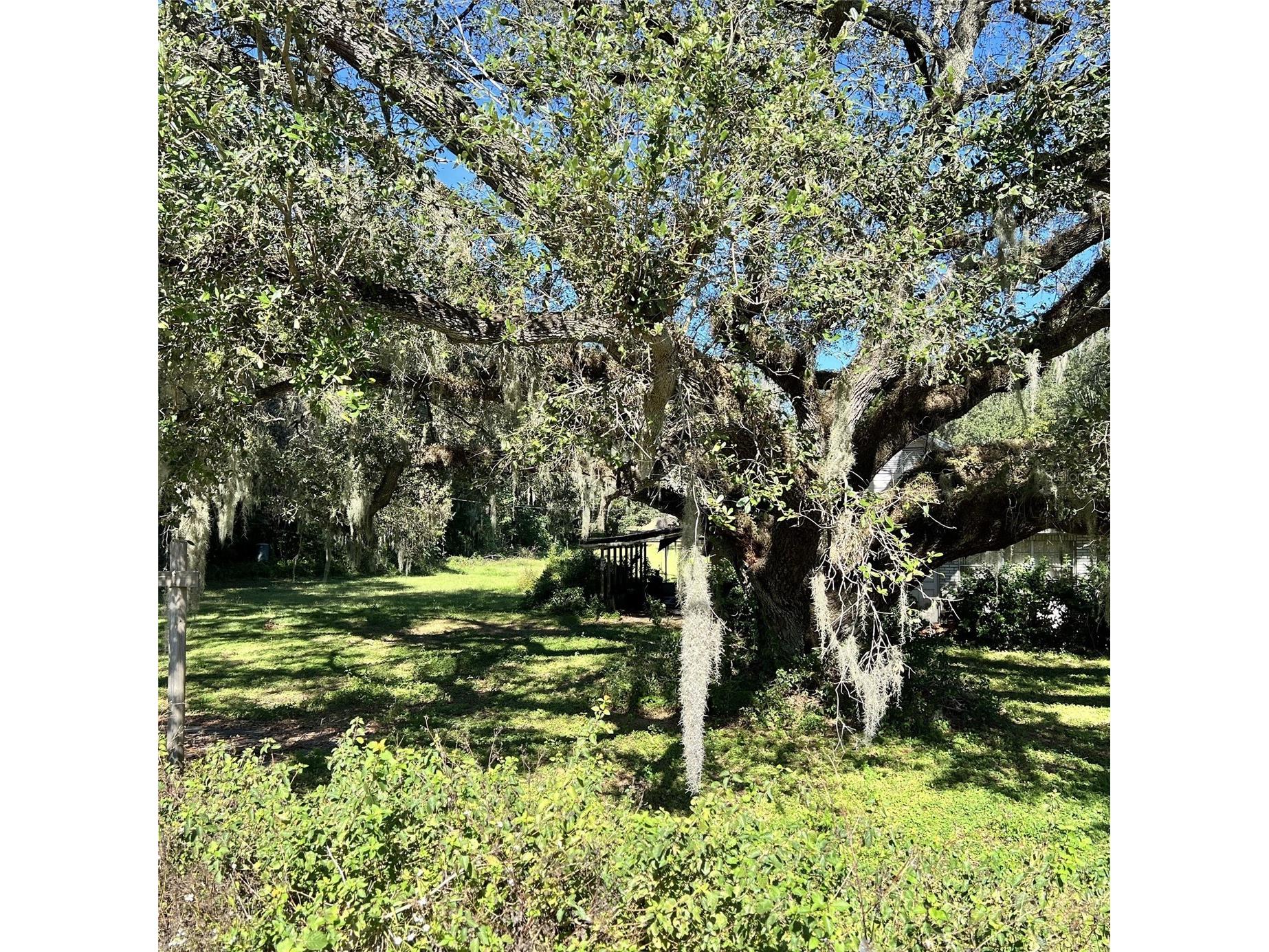 4504 E County Road 540a Lakeland FL 33813 P4935522 image7