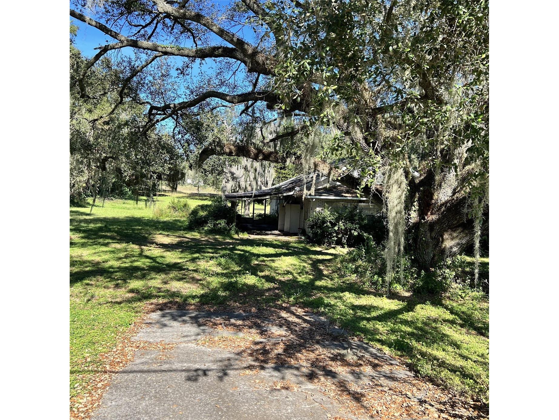 4504 E County Road 540a Lakeland FL 33813 P4935522 image8