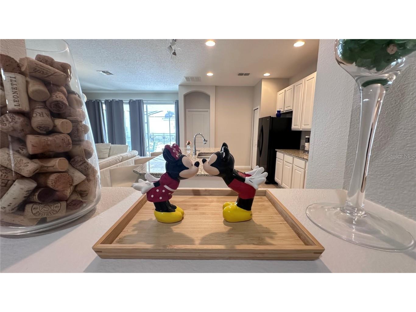 4504 Monado Drive Kissimmee FL 34746 S5136076 image25