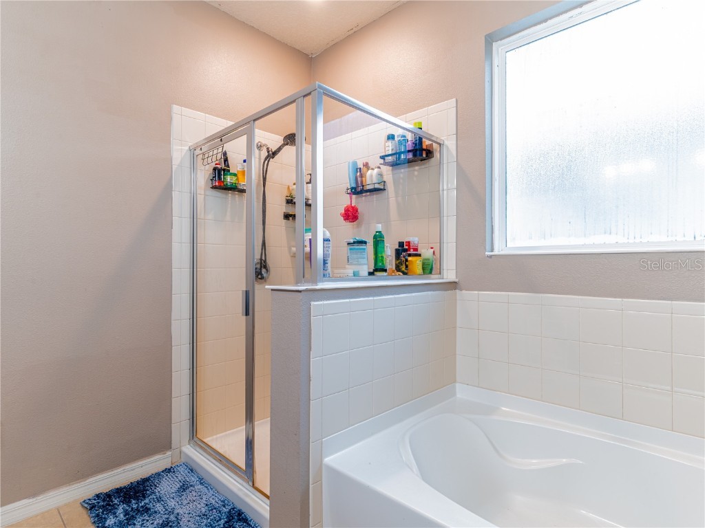 4504 Orchard Grove Road Saint Cloud FL 34772 S5138976 image20