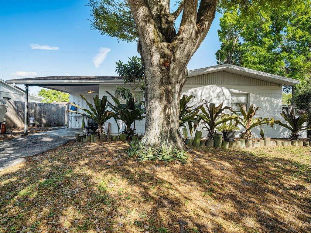 4505 Bray Road Tampa FL 33634 T3513385 image1