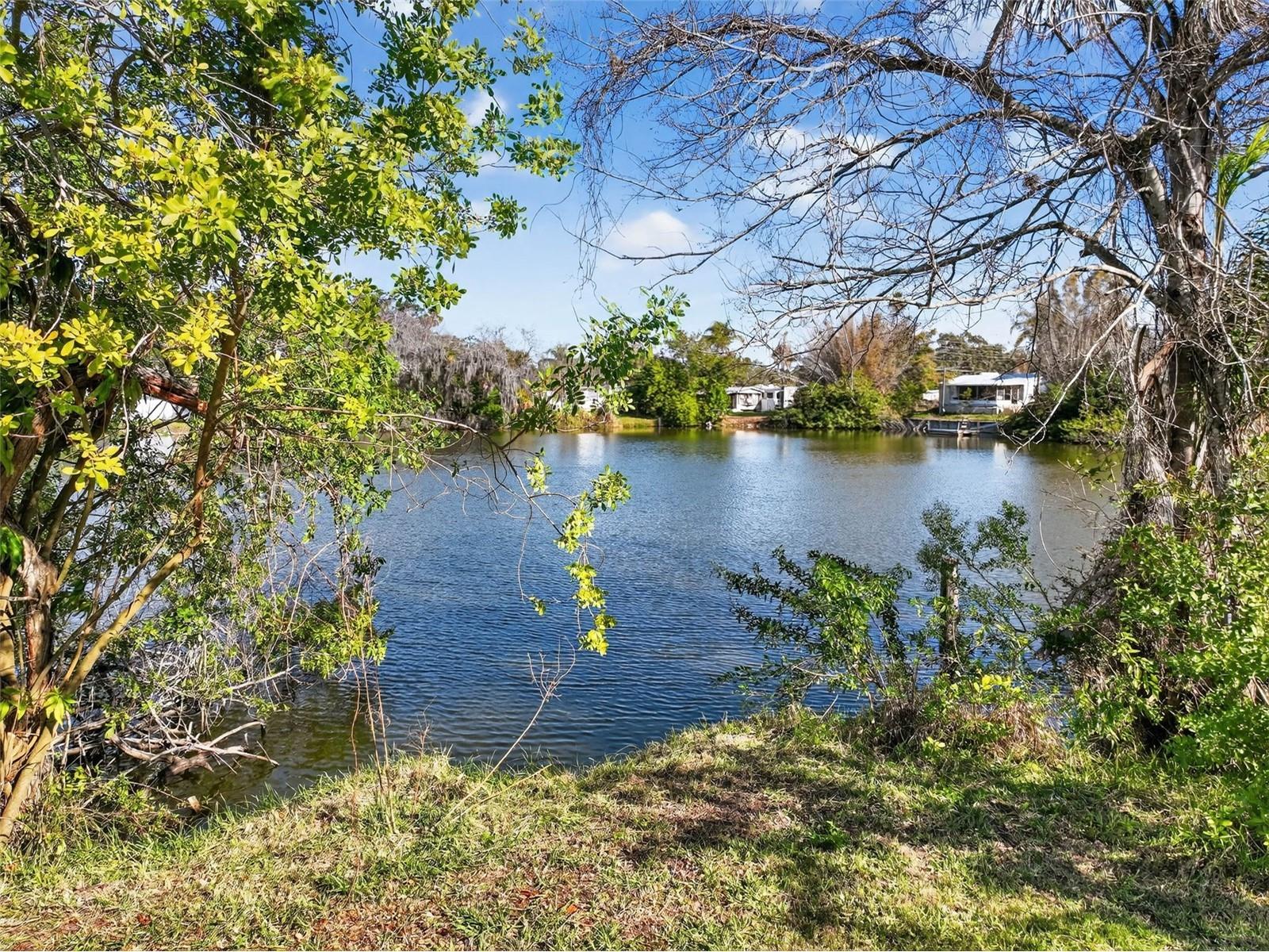 4505 Cottonwood Drive New Port Richey FL 34652 O6414035 image15