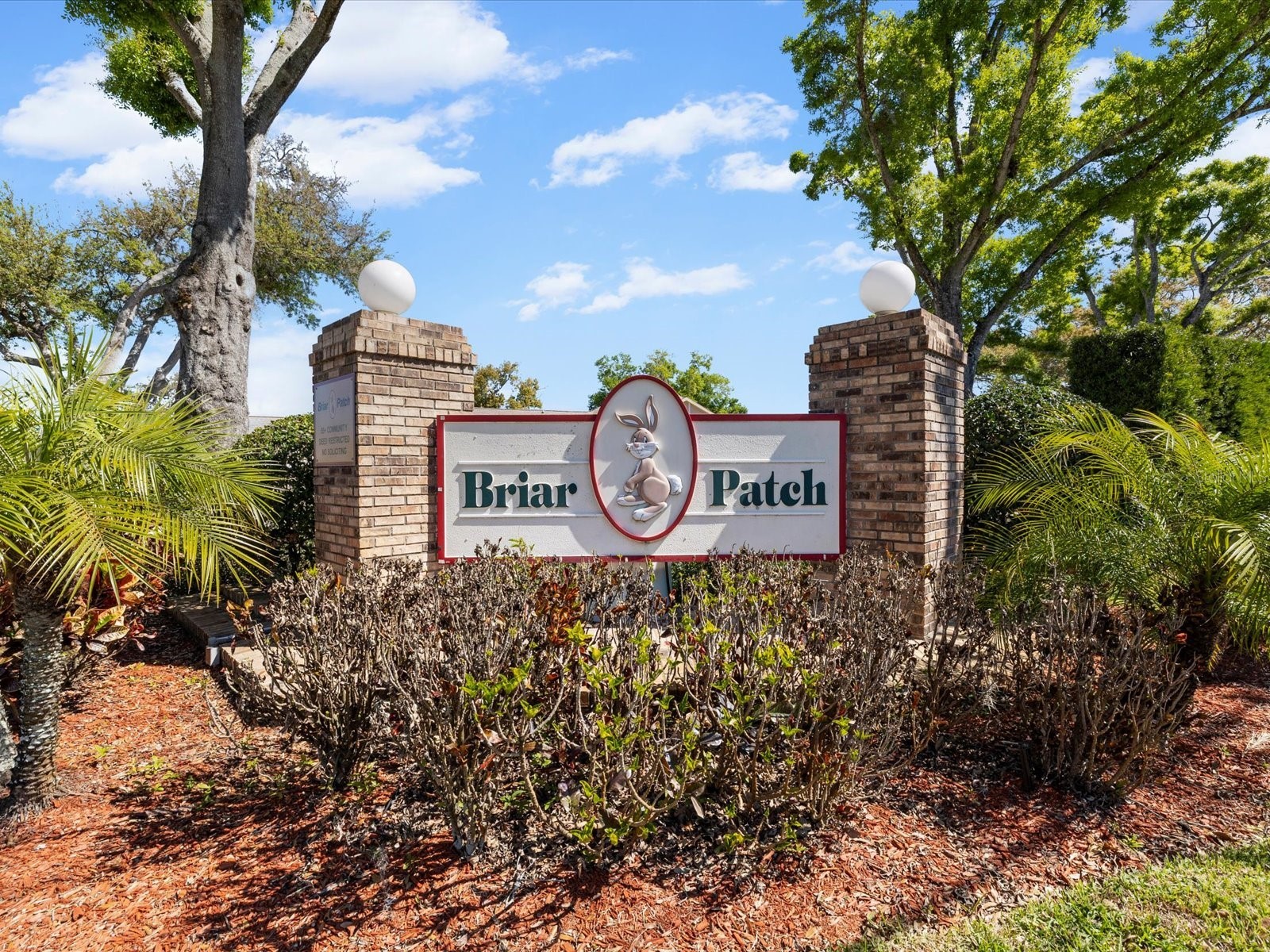 4505 Glen Hollow New Port Richey FL 34653 W7884133 image2