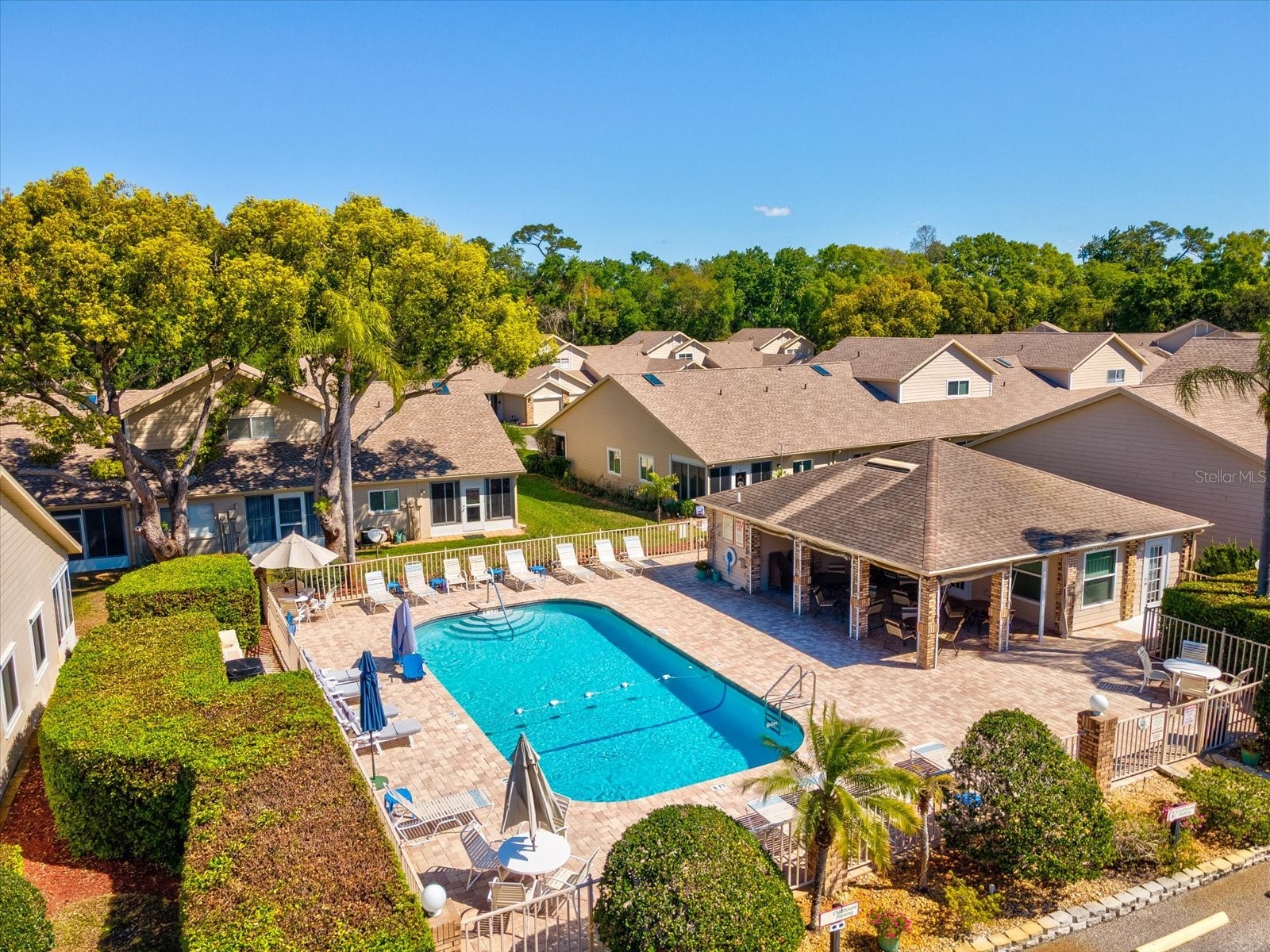 4505 Glen Hollow New Port Richey FL 34653 W7884133 image43