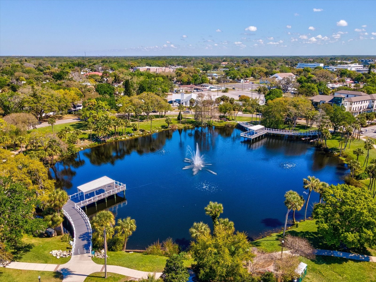 4505 Glen Hollow New Port Richey FL 34653 W7884133 image53