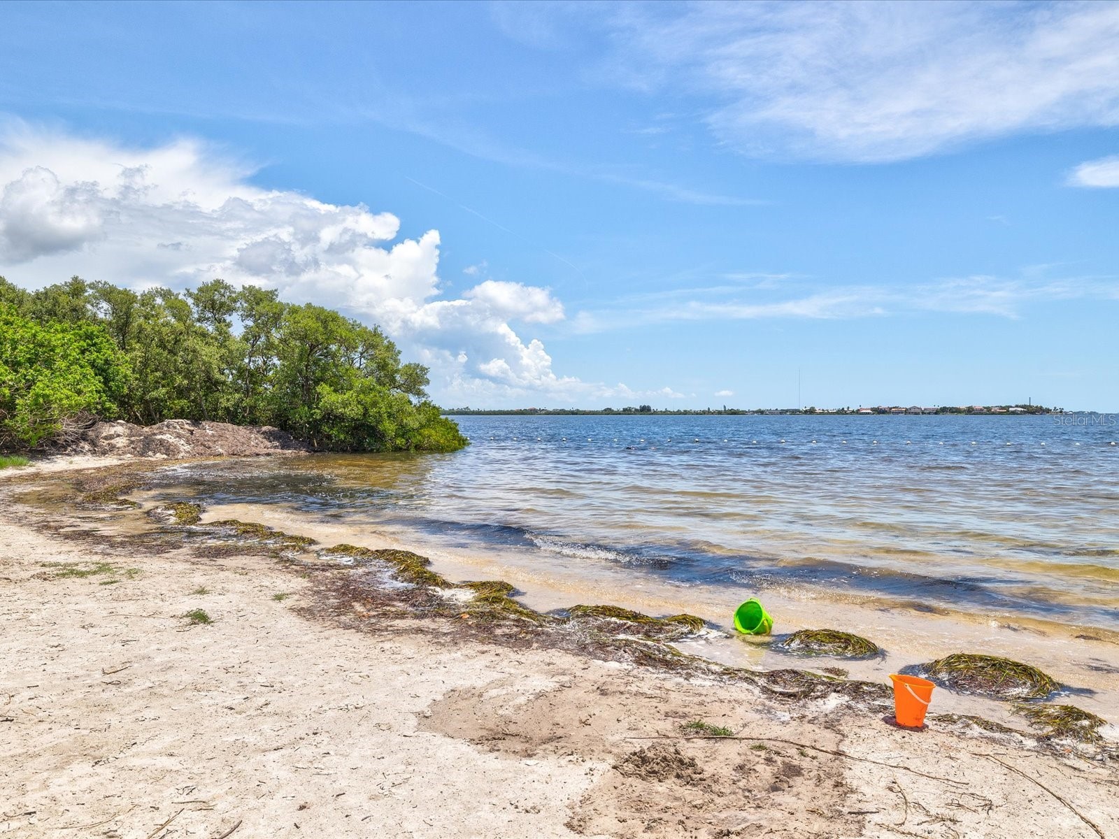 4505 Glen Hollow New Port Richey FL 34653 W7884133 image66