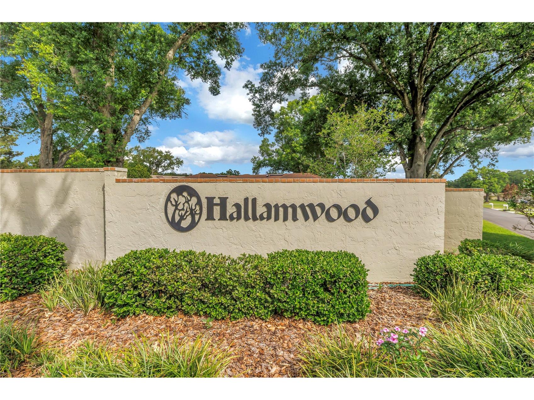 4505 Hallam Hill Lane Lakeland FL 33813 TB8495660 image45