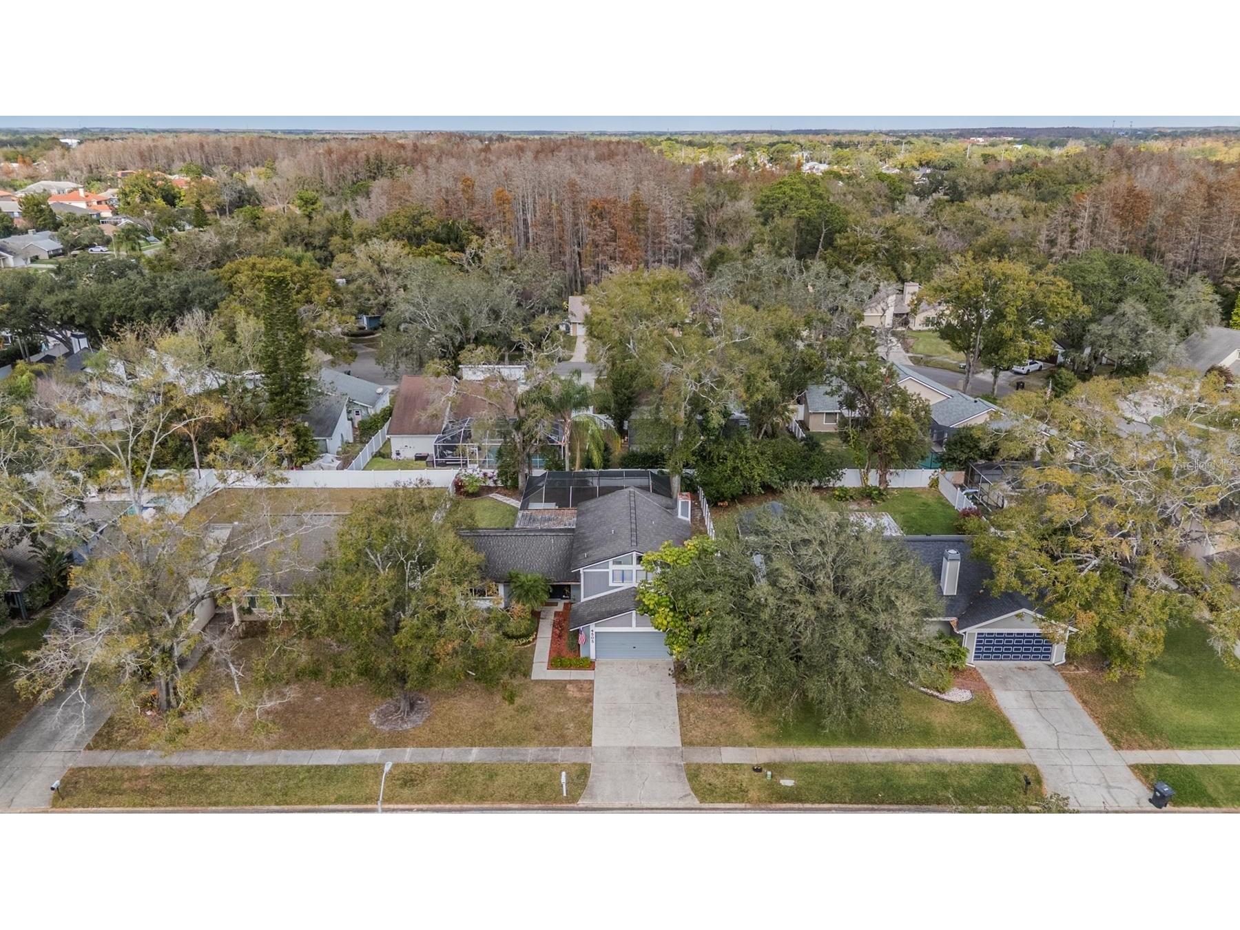 4505 Old Saybrook Avenue Tampa FL 33624 TB8464639 image49