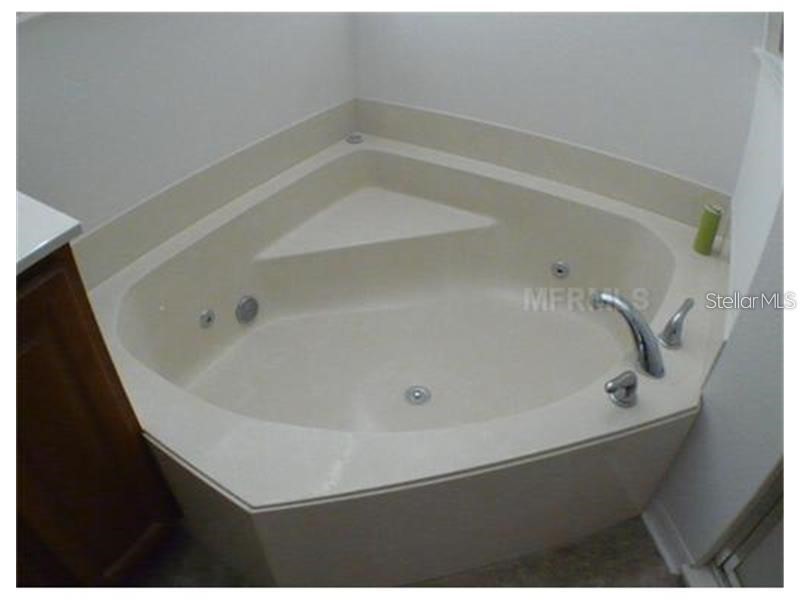 4505 Rock Hill Loop Apopka FL 32712 O6412159 image10