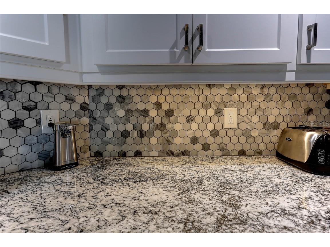 4506 Country Gate Court Valrico FL 33596 TB8423464 image31