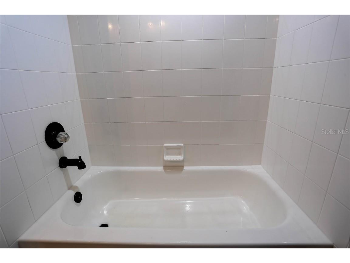 4506 Country Gate Court Valrico FL 33596 TB8423464 image43