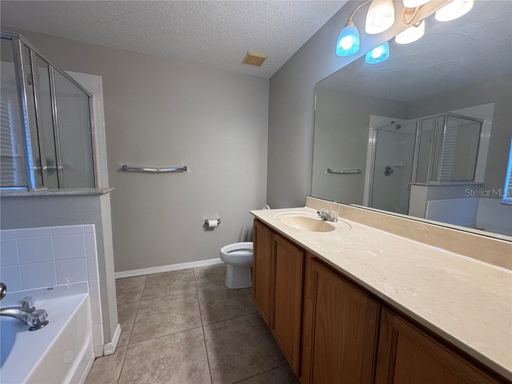 4506 Ross Lanier Lane Kissimmee FL 34758 O6352674 image9