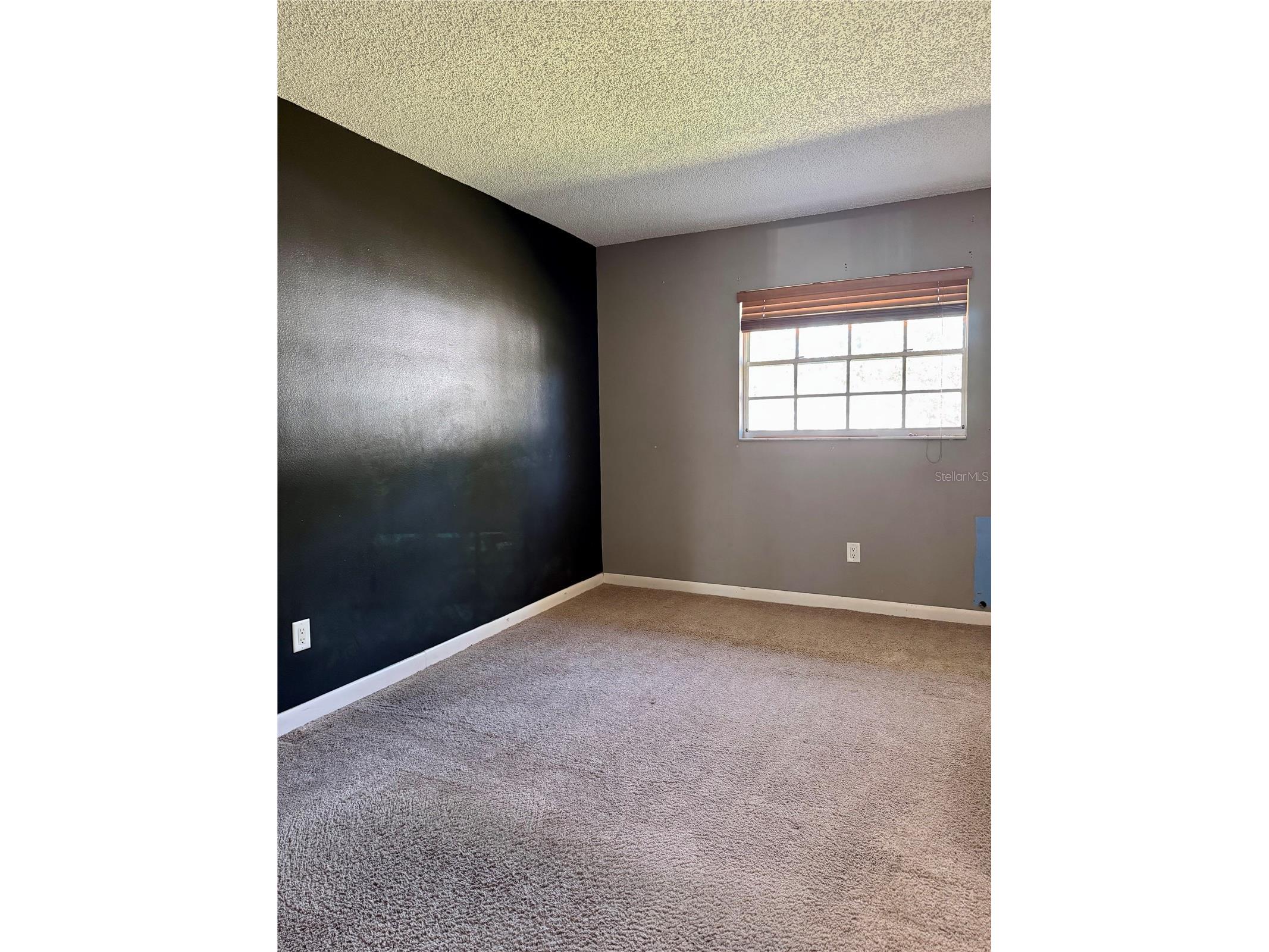 4506 S Oak Drive #S42 Tampa FL 33611 TB8462868 image11