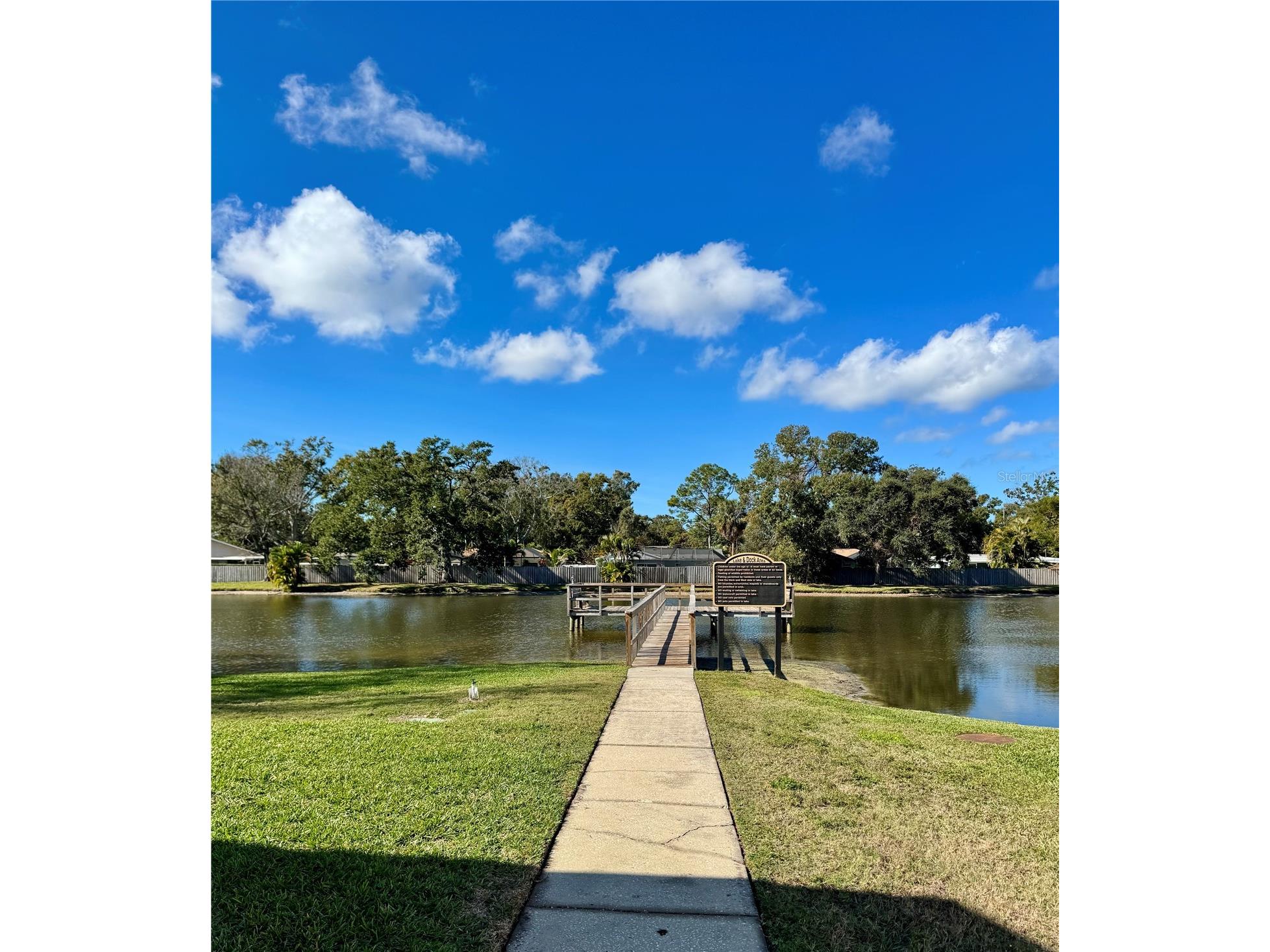 4506 S Oak Drive #S42 Tampa FL 33611 TB8462868 image19