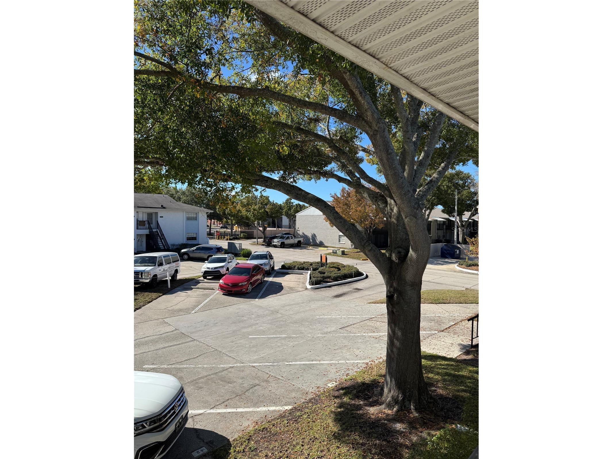 4506 S Oak Drive #S42 Tampa FL 33611 TB8462868 image2