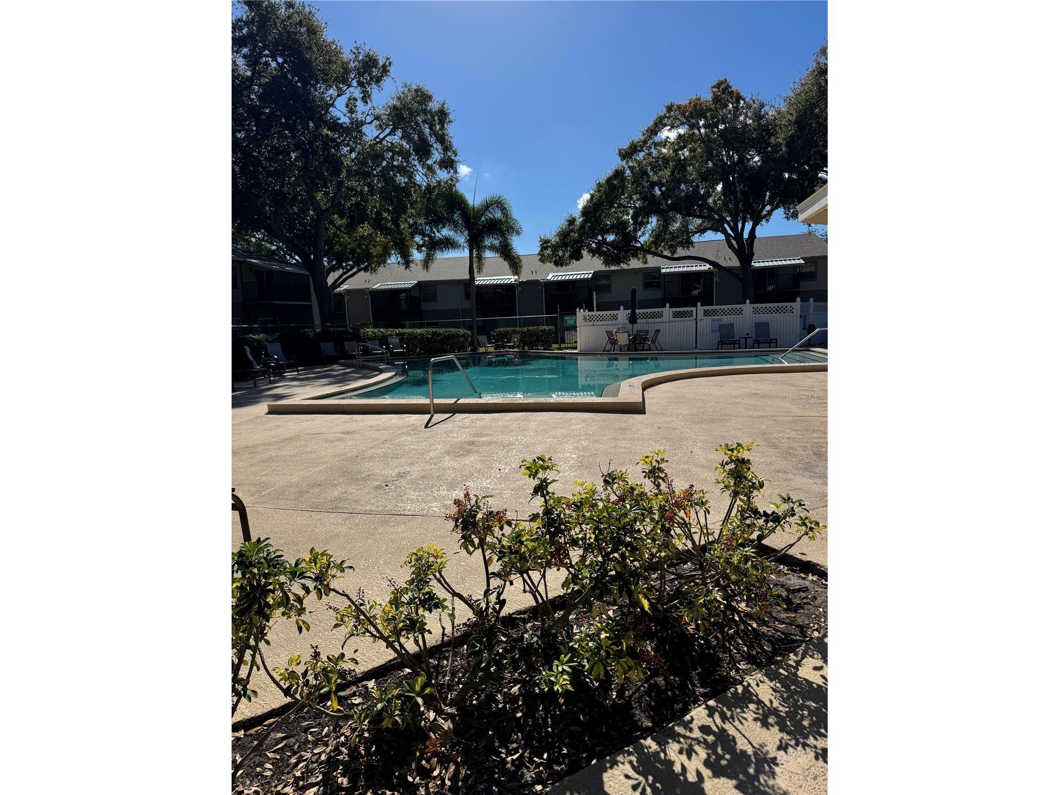 4506 S Oak Drive #S42 Tampa FL 33611 TB8462868 image20