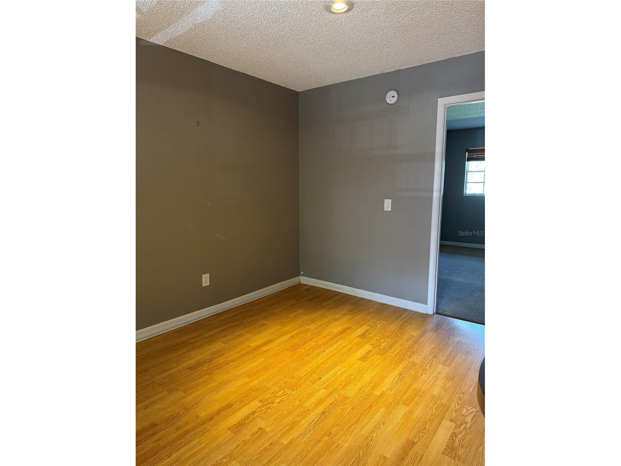 4506 S Oak Drive #S42 Tampa FL 33611 TB8462868 image4
