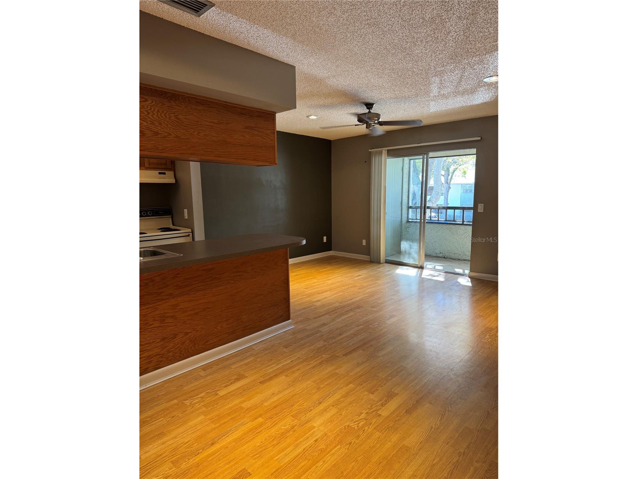 4506 S Oak Drive #S42 Tampa FL 33611 TB8462868 image6