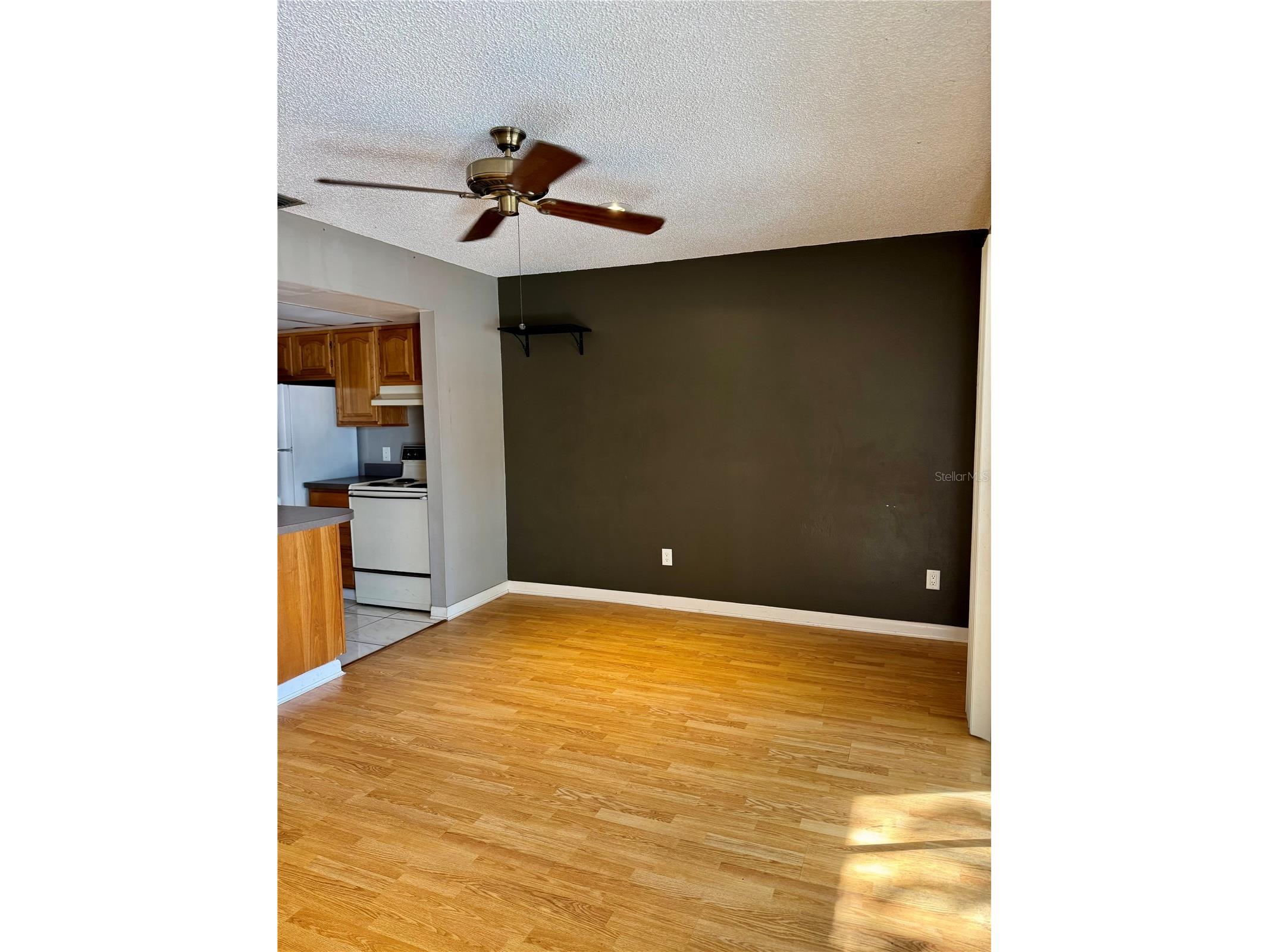 4506 S Oak Drive #S42 Tampa FL 33611 TB8462868 image7