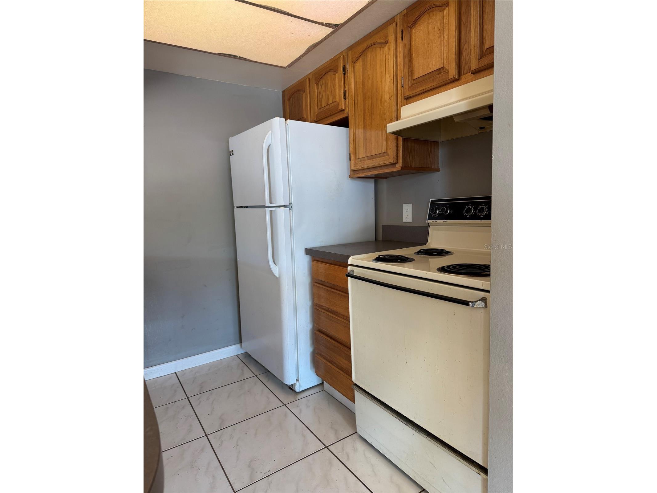 4506 S Oak Drive #S42 Tampa FL 33611 TB8462868 image9