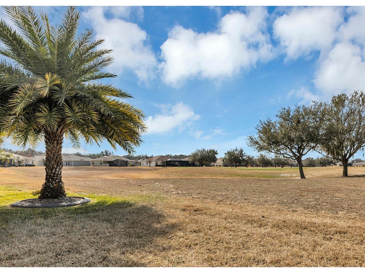 4506 Shenandoah River Trail Leesburg FL 34748 G5107932 image17