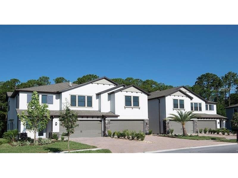 4507 Almada Lane Wesley Chapel FL 33543 T3435829 image1