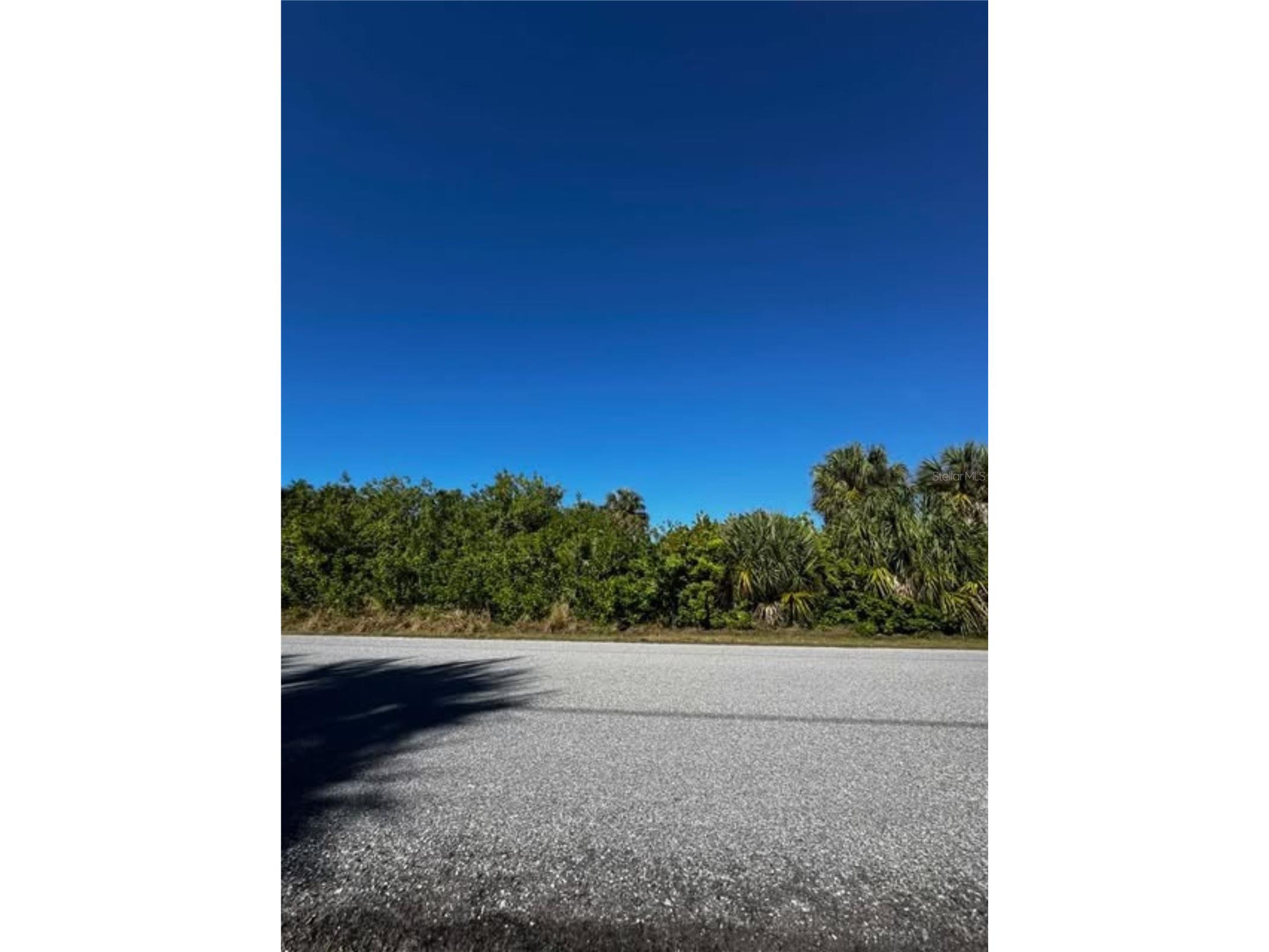 4507 Joseph Street Port Charlotte FL 33948 - PERCH WATERWAY C7519261 image5