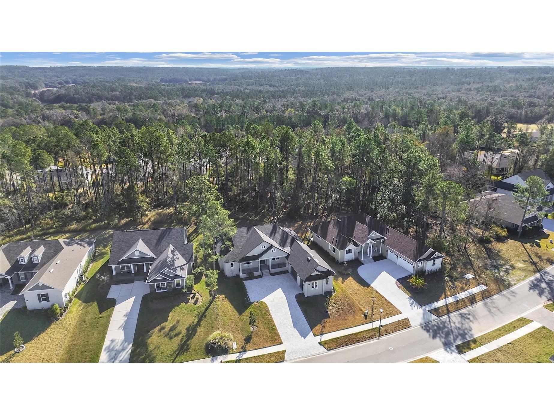 4507 Majestic Hill Loop Brooksville FL 34601 TB8353098 image2