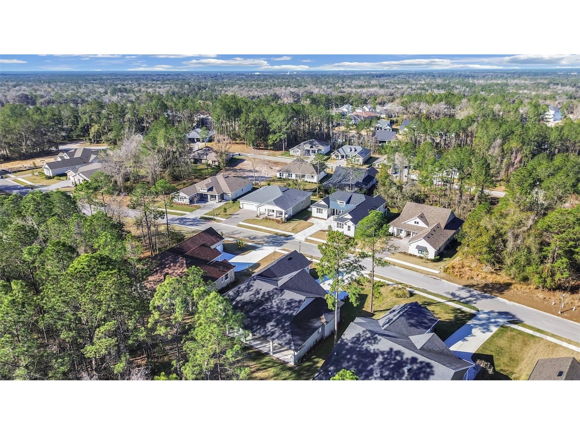 4507 Majestic Hill Loop Brooksville FL 34601 TB8502411 image10