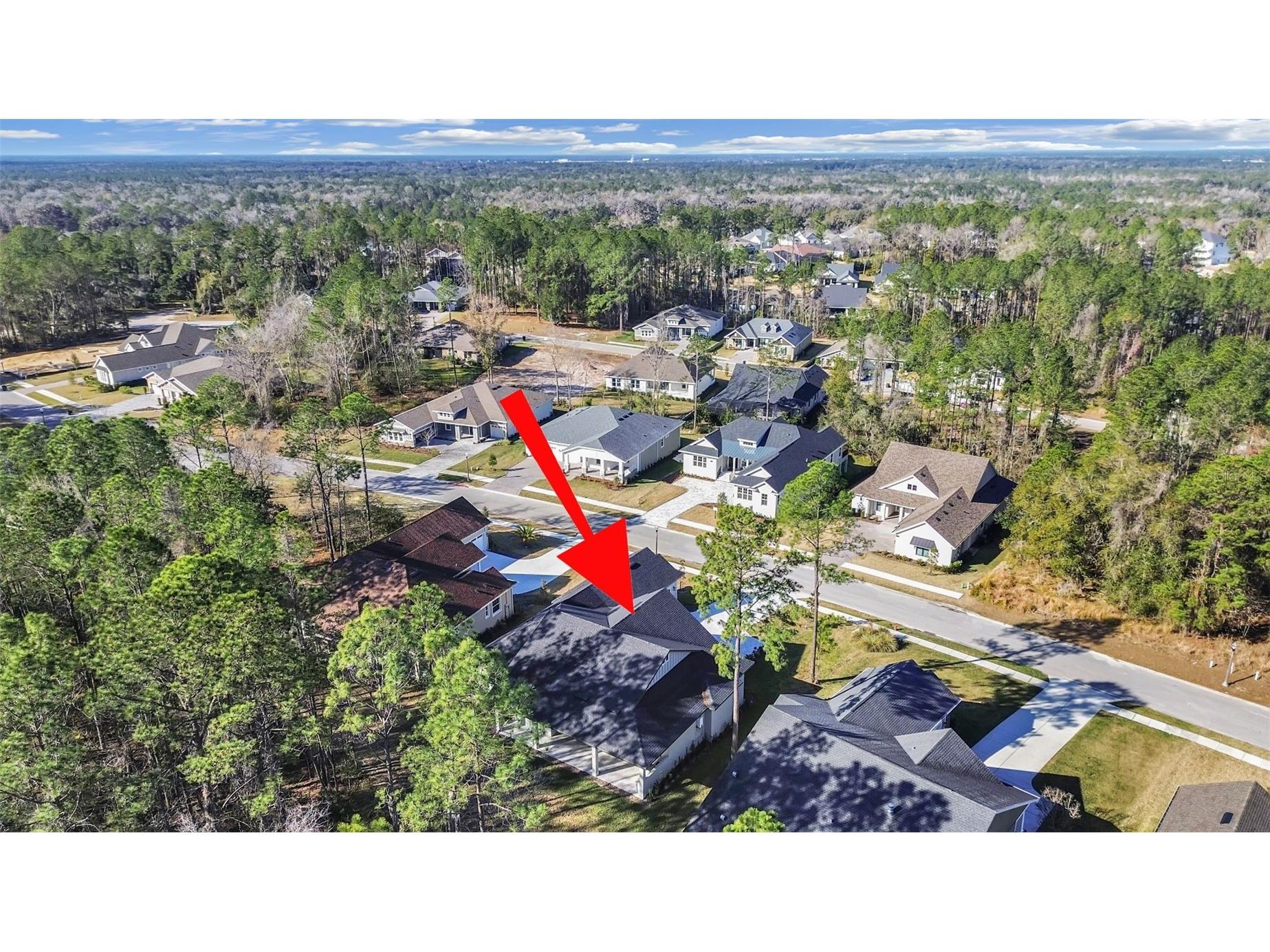 4507 Majestic Hill Loop Brooksville FL 34601 TB8502411 image11
