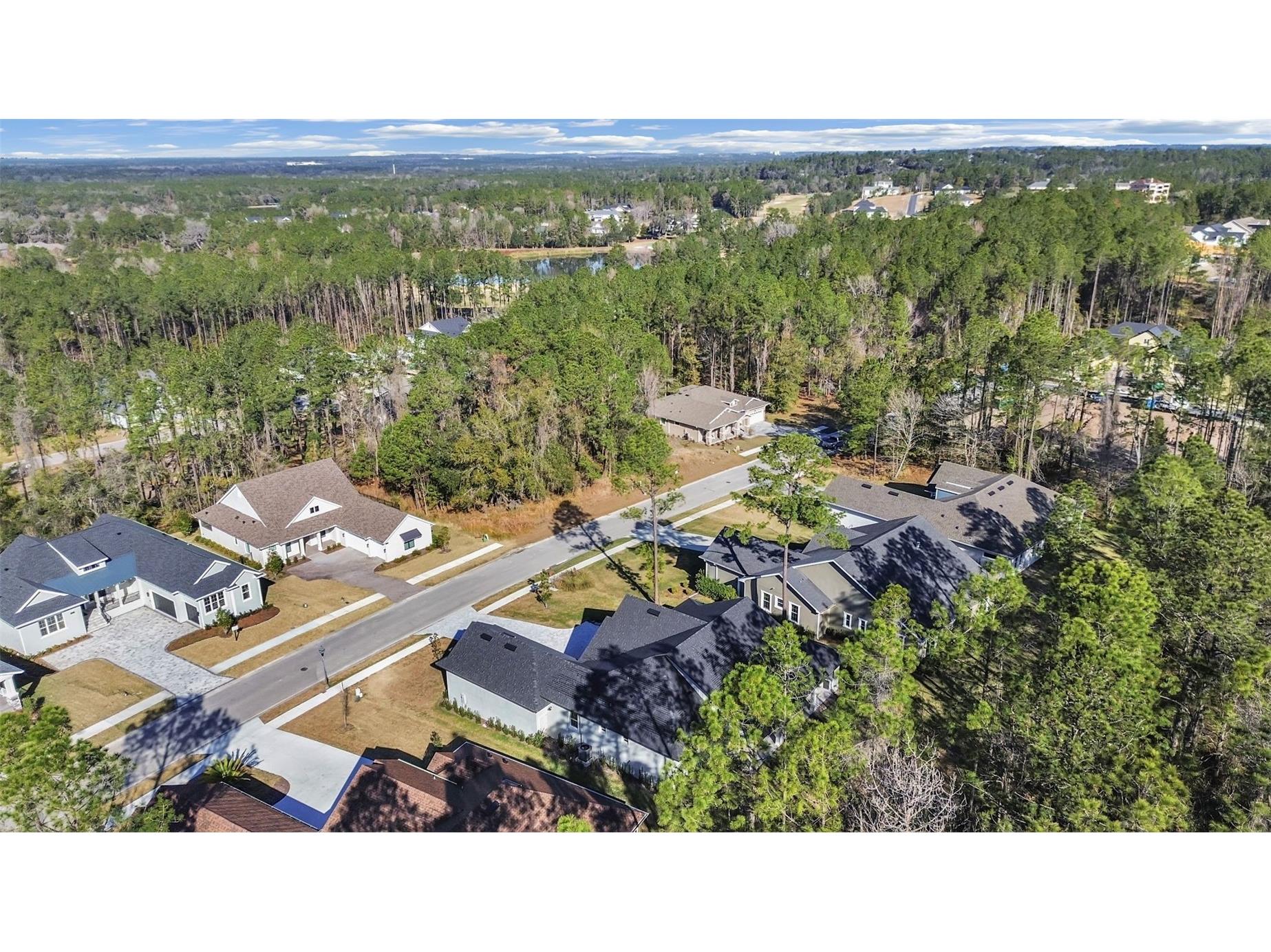 4507 Majestic Hill Loop Brooksville FL 34601 TB8502411 image12