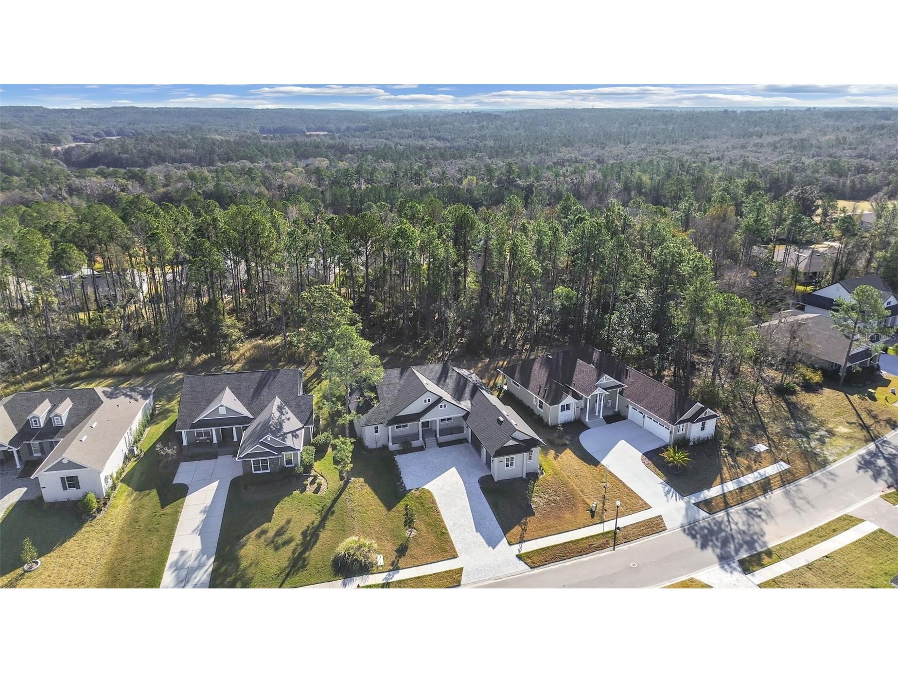 4507 Majestic Hill Loop Brooksville FL 34601 TB8502411 image8