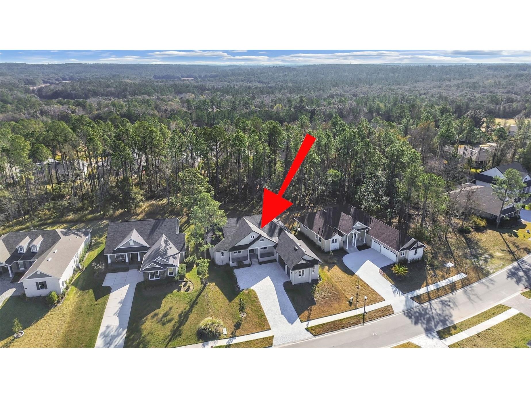 4507 Majestic Hill Loop Brooksville FL 34601 TB8502411 image9