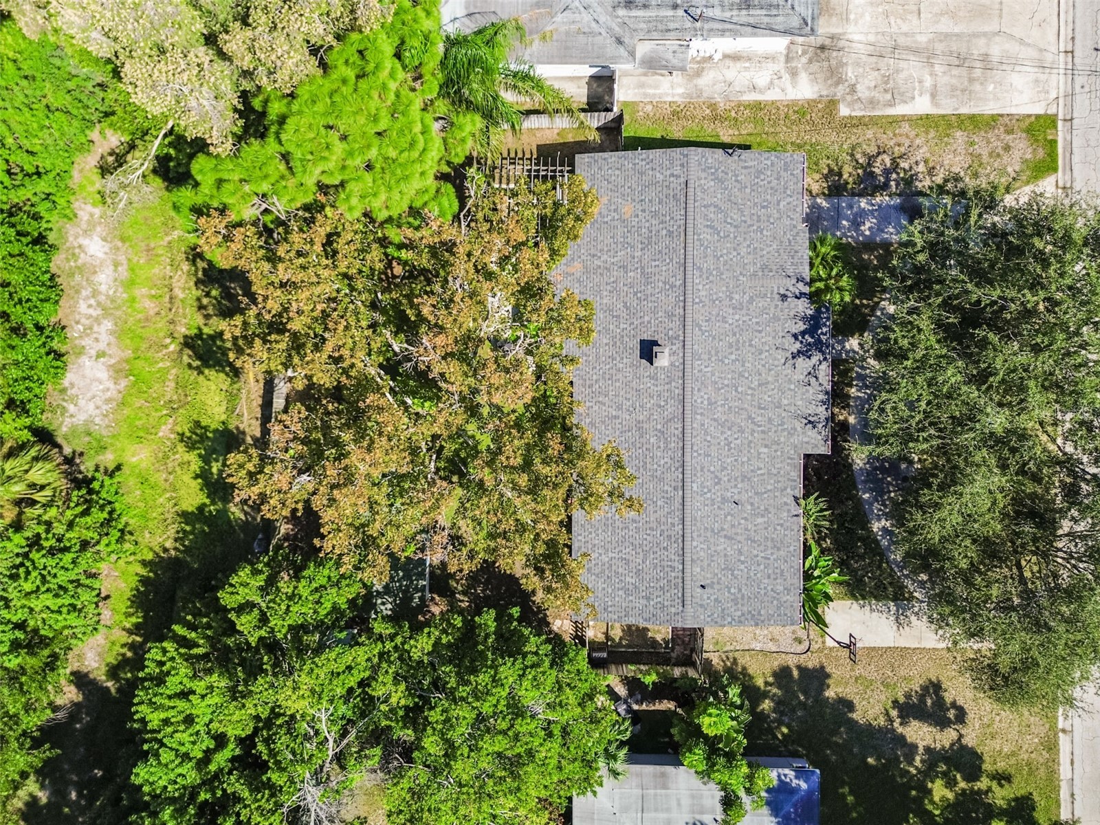 4507 S Lois Avenue Tampa FL 33611 TB8431400 image31