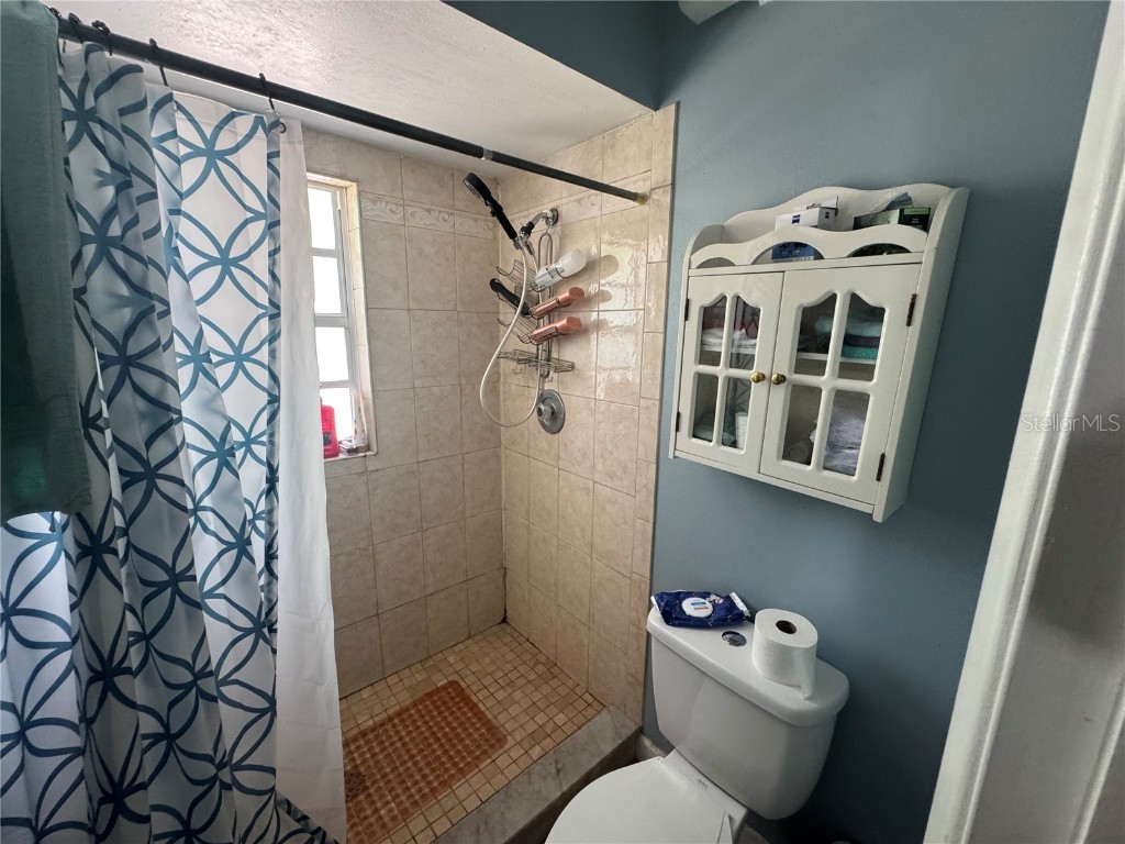 4507 Twin Crest Way Tampa FL 33624 TB8431293 image24