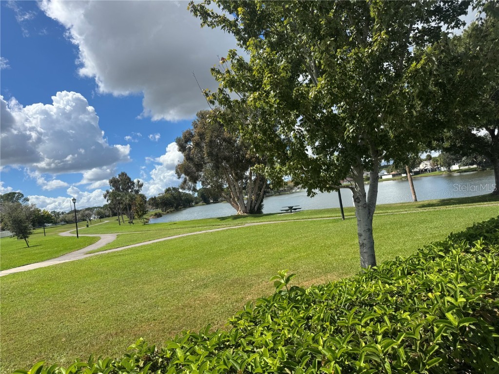 4507 Twin Crest Way Tampa FL 33624 TB8431293 image52