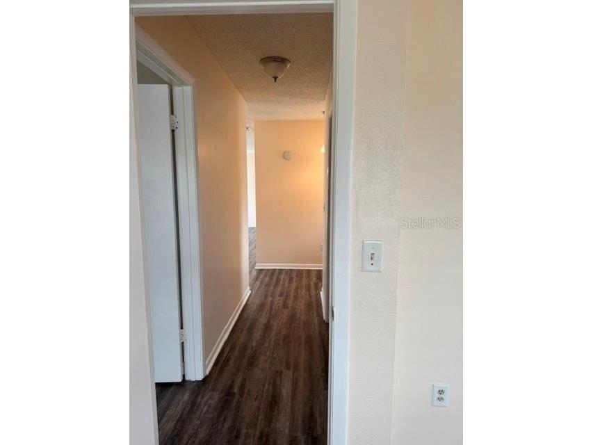 4507 Yorkshire Avenue Spring Hill FL 34609 W7887136 image8