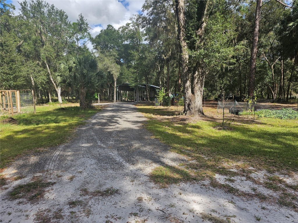45070 Wild Acres Trail Paisley FL 32767 - FRIENDLY POND G5103115 image1
