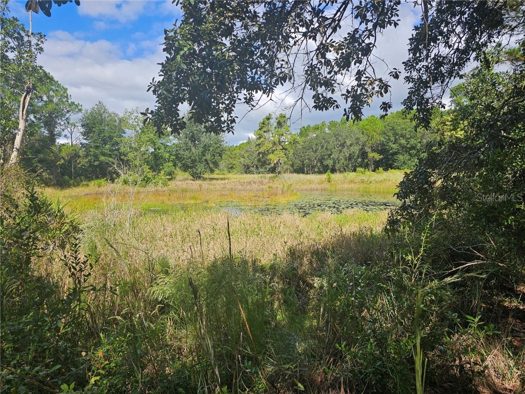 45070 Wild Acres Trail Paisley FL 32767 - FRIENDLY POND G5103115 image10